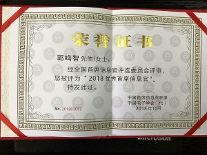 2018优秀首席信息官