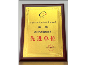 2024汽车国际贸易先进单位