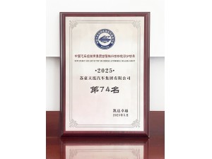 2025中国汽车经销商集团百强排行榜新能源分榜单第74名